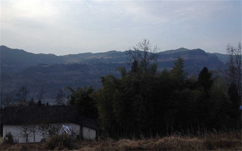 回到乡下,你会做些什么?(图3) 3.jpg