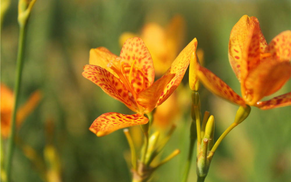2011年07月29日，浙江温州滨海海边，打卡