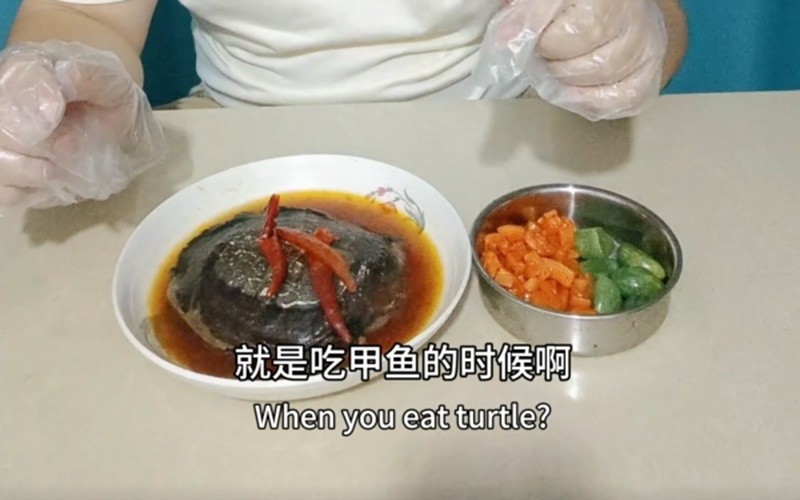每天最快乐的时候,就是吃甲鱼的时候!谁懂啊?